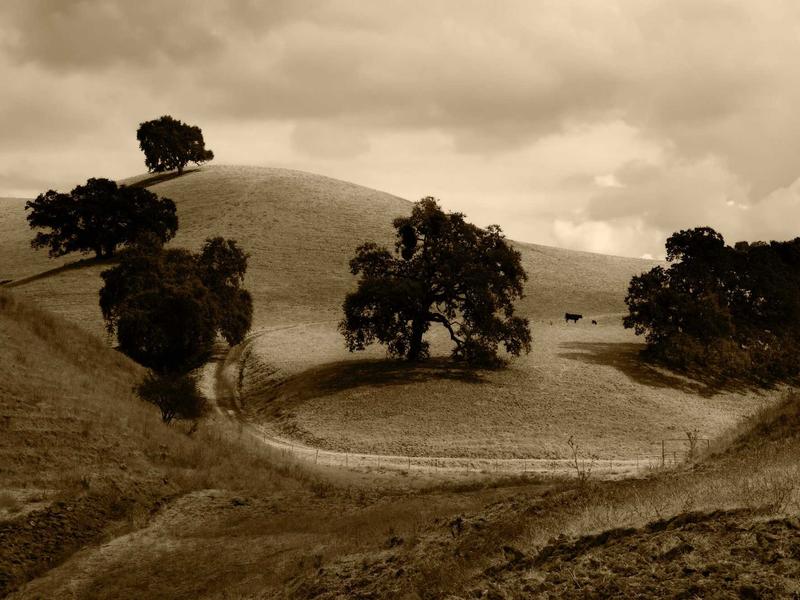 sudoku tablet version screenshot 4